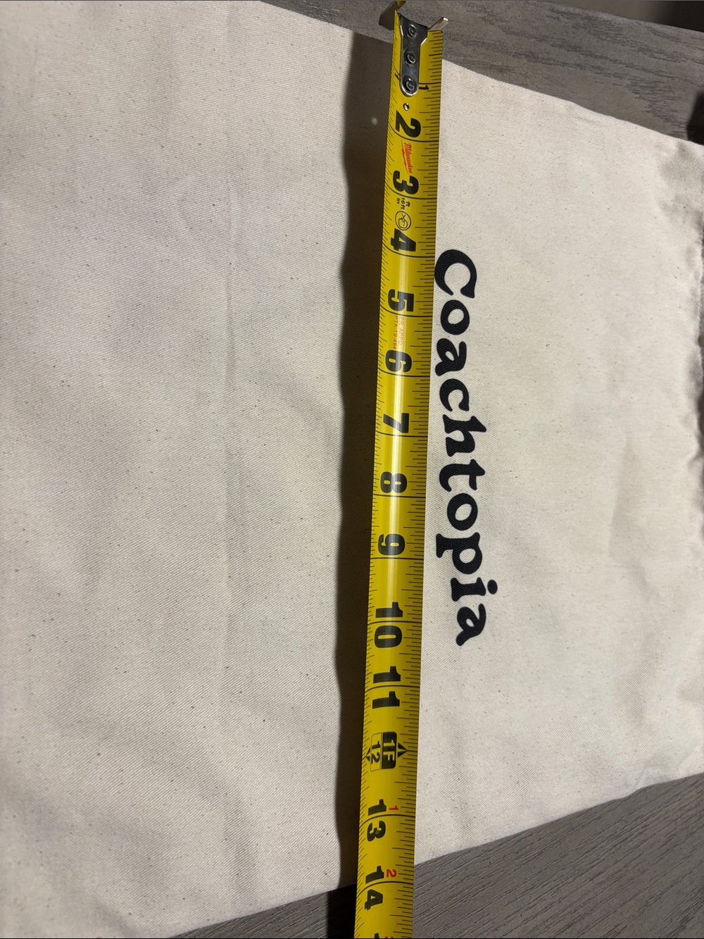 Coach Coachtopia Drawstring Dust Bag in Natural and Black - Picture 5 of 5
